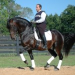 Tejo under saddle